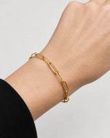 Extreme wrist macro of Vela elongated paperclip links