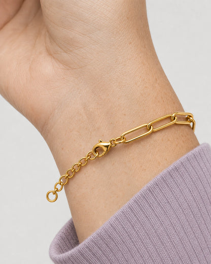 Extreme worn macro of Vela gold clasp, extender and links